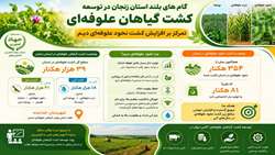 گام های  استان زنجان در توسعه کشت گیاهان علوفه ای